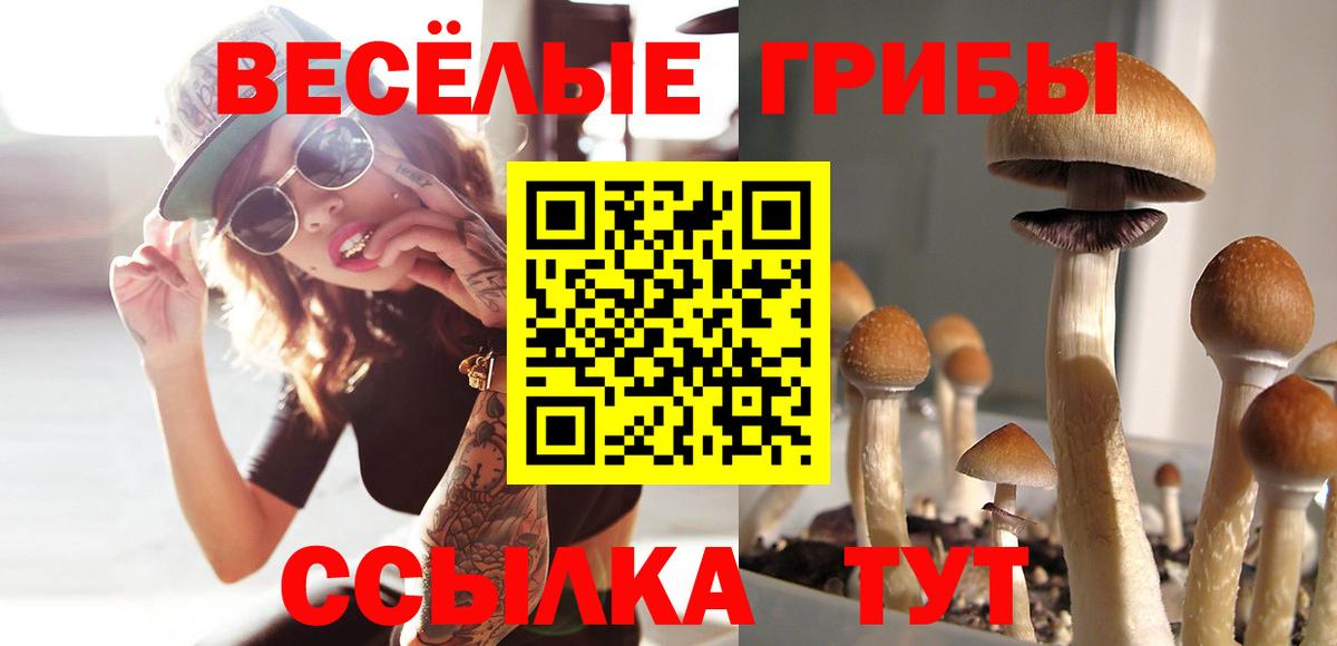 Канаш  Псилоцибиновые грибы Cubensis  Вход с VPN  Псилоцибиновые грибы ЛСД 